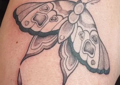 Tatouage grand papillon de nuit (sphinx) noir et gris avec gouttes, style dotwork