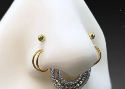 Composition piercing nez et septum