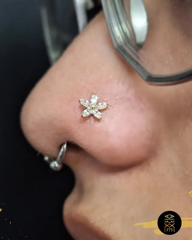 Piercing nez et septum Piercing au nez et au septum